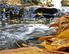 在线电话压力测试